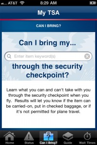 a screenshot of a security check point