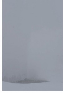 a snow covered ground with trees in the background