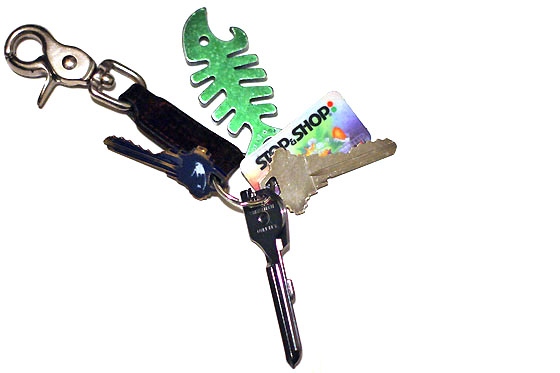a bunch of keys on a key chain