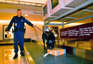 a police officer with a dog on a conveyor belt