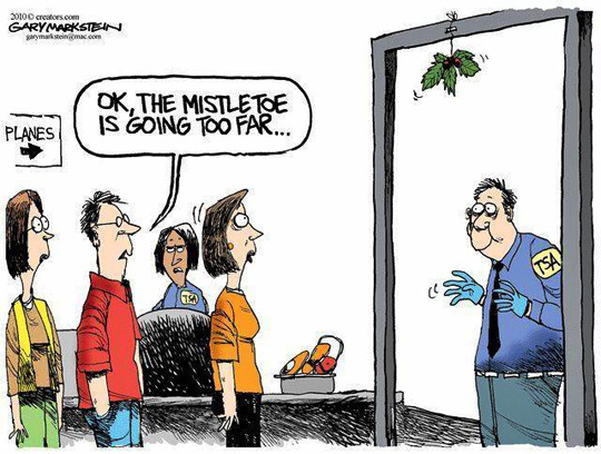 cartoon of a man and woman standing in front of a door with mistletoe