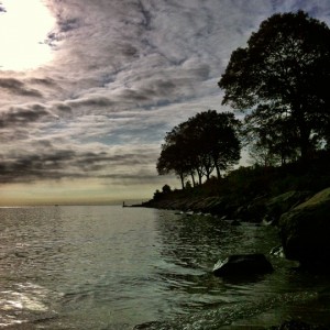 a body of water with trees and rocks